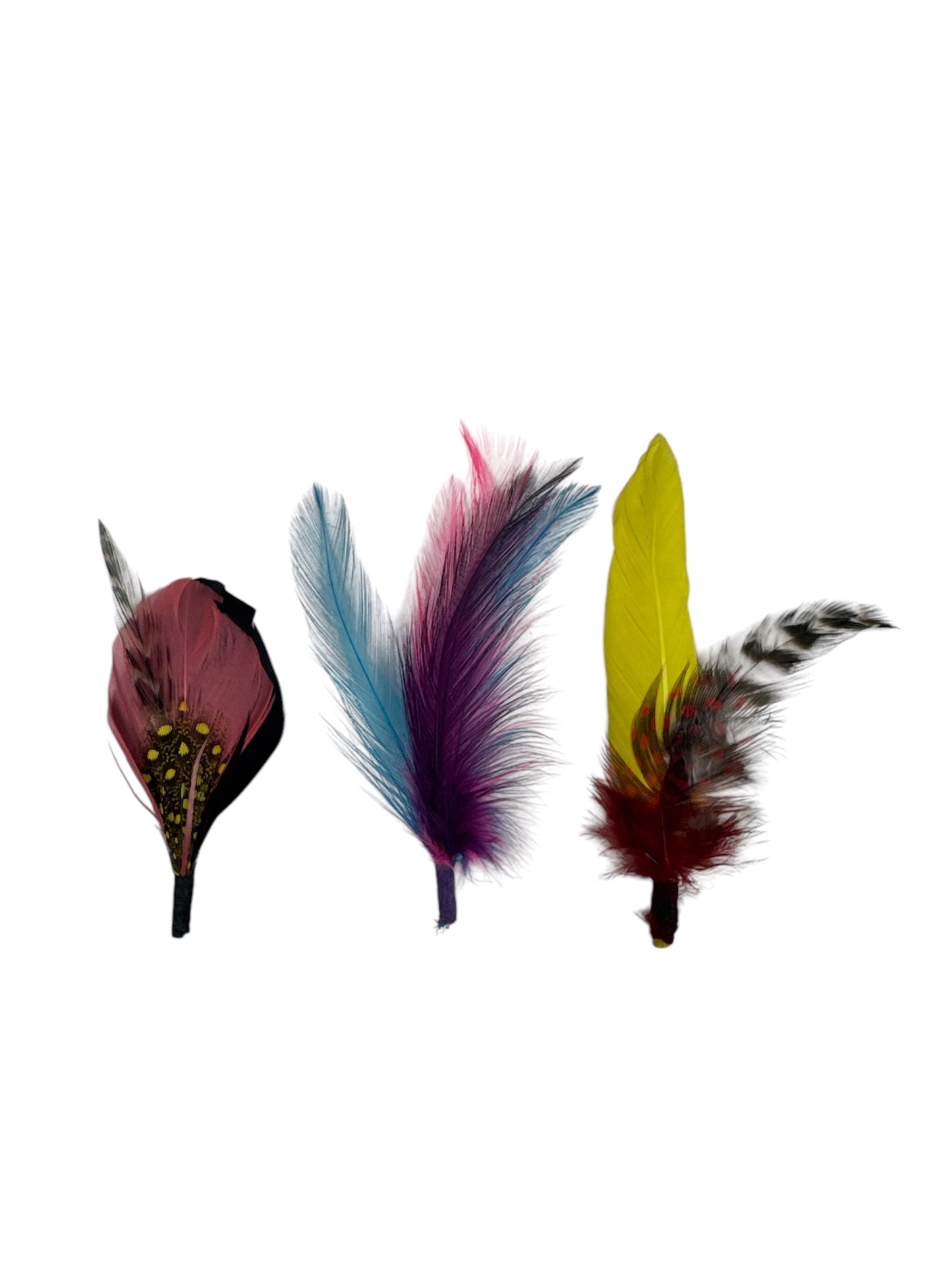 Hat Feathers